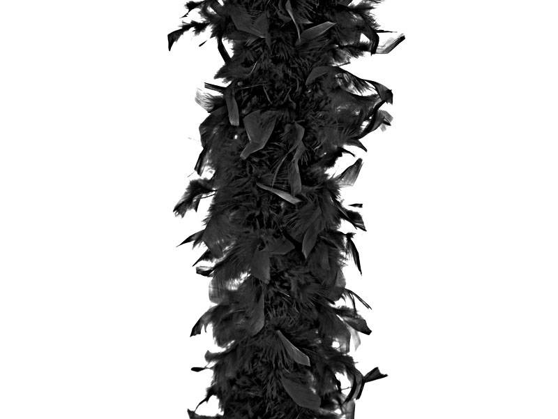 Boa