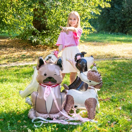 Balon foliowy stojący, Pies Pudelek z czapeczką, 58x84 cm