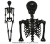 Dekoracja wisząca Szkielet Czarny, 90cm
