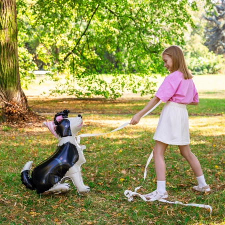 Balon foliowy stojący, Pies Border Collie z czapeczką, 76x92 cm