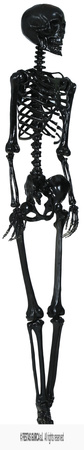Dekoracja wisząca Szkielet Czarny, 90cm