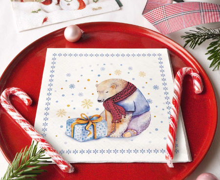 Serwetki papierowe Surprise for Teddy 33x33 cm / 20 szt.