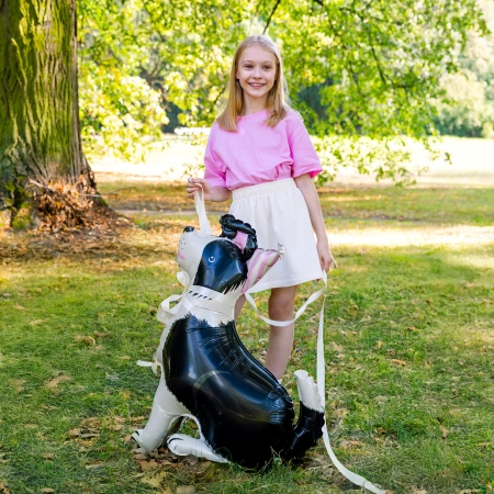 Balon foliowy stojący, Pies Border Collie z czapeczką, 76x92 cm