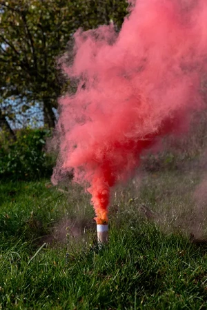 Raca dymna ''It's a Girl'', 22.5 cm, różowy