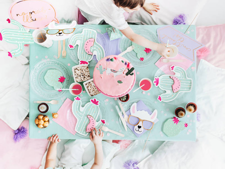 Gadżety do zdjęć Lama, mix