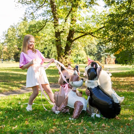 Balon foliowy stojący, Pies Border Collie z czapeczką, 76x92 cm