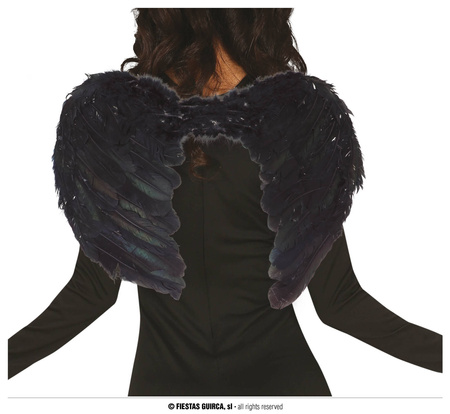 Czarne szkrzydła z piór, 60x40 cm
