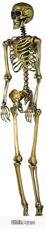 Dekoracja wisząca Szkielet Złoty, 90cm