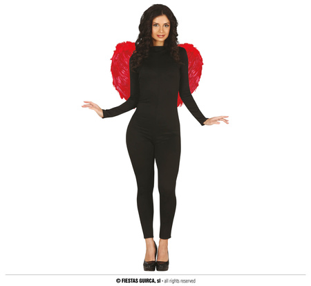 Czerwone szkrzydła z piór, 60x40 cm