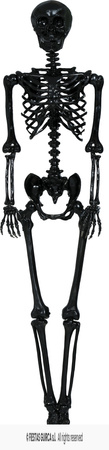 Dekoracja wisząca Szkielet Czarny, 90cm