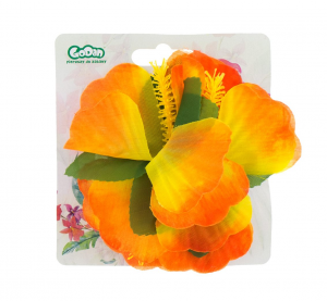 Spinka hawajska, duża, pomarańczowa