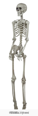 Dekoracja wisząca Szkielet, 160 cm