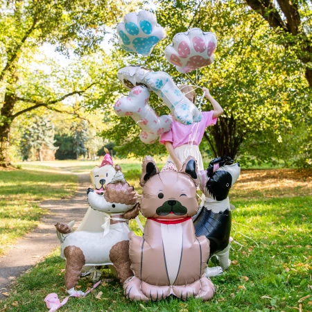 Balon foliowy stojący, Pies Pudelek z czapeczką, 58x84 cm