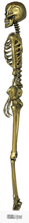 Dekoracja wisząca Szkielet Złoty, 90cm