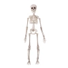 Wiszący szkielet Halloween 50 cm