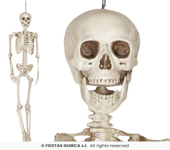 Dekoracja wisząca Szkielet, 160 cm