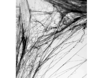 Pajęczyna Halloween, czarny, 60g