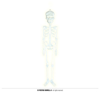 Fluroscencyjny szkielet na Halloween, 75cm