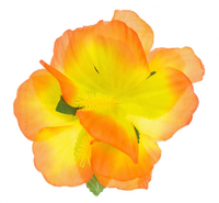 Spinka hawajska, duża, pomarańczowa