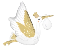 Balon foliowy Anagram 35'', Satin Special Delivery Baby