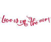 Girlanda papierowa Love is in the air, 200 cm